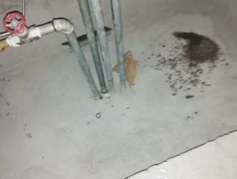 华容卫生间测漏水价格明细