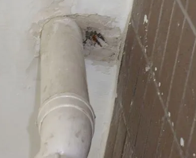 华容漏水检测哪家好